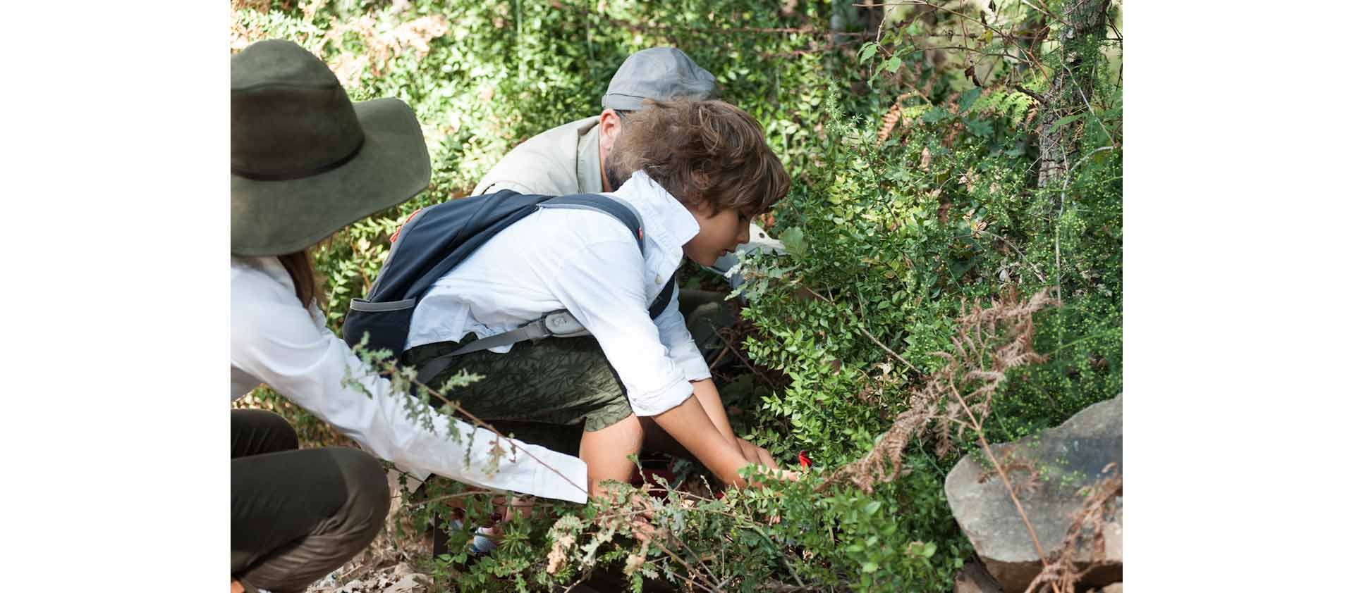 wundergarten-sicily-native-lush-experience