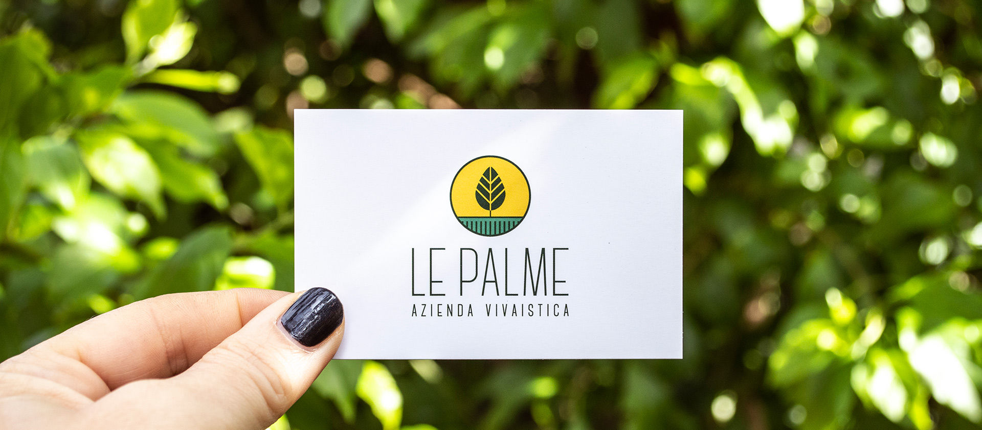 le-palme-azienda-vivaistica