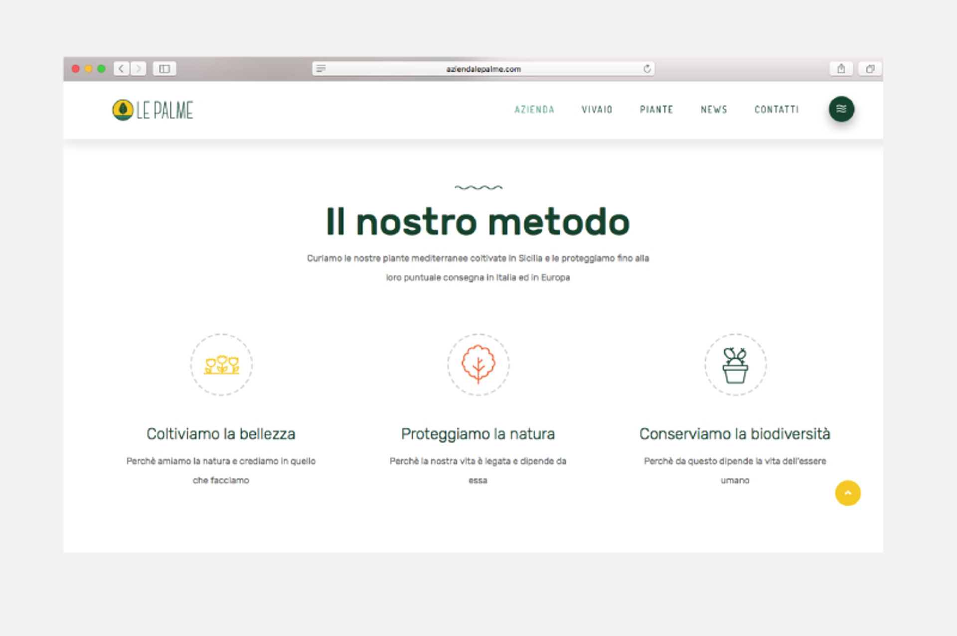 le-palme-azienda-vivaistica