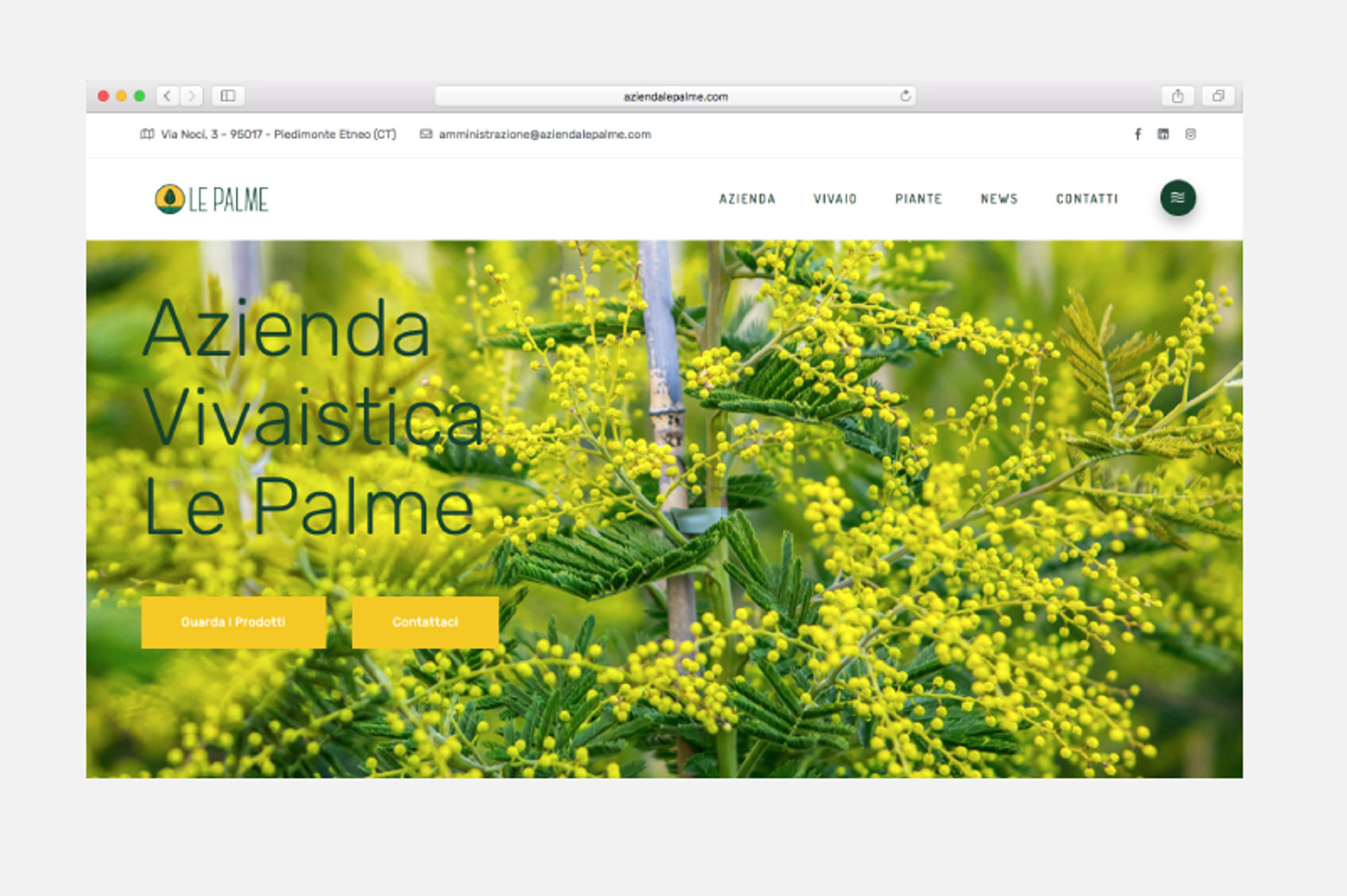 le-palme-azienda-vivaistica