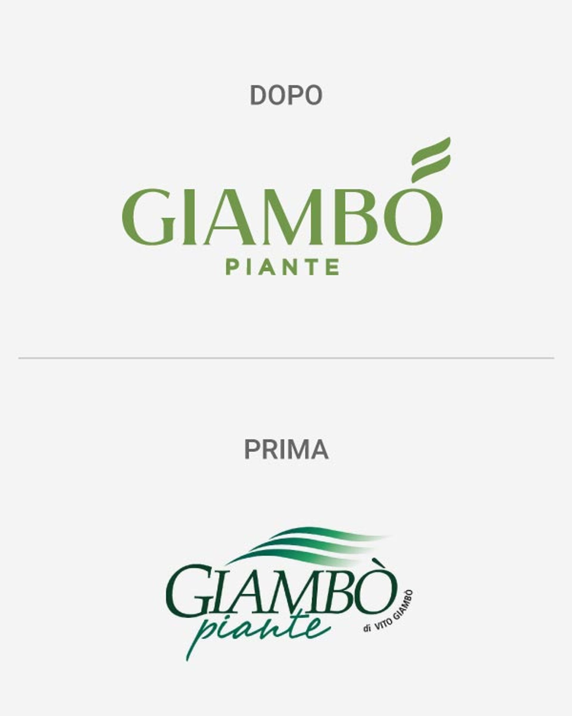 giamb-piante