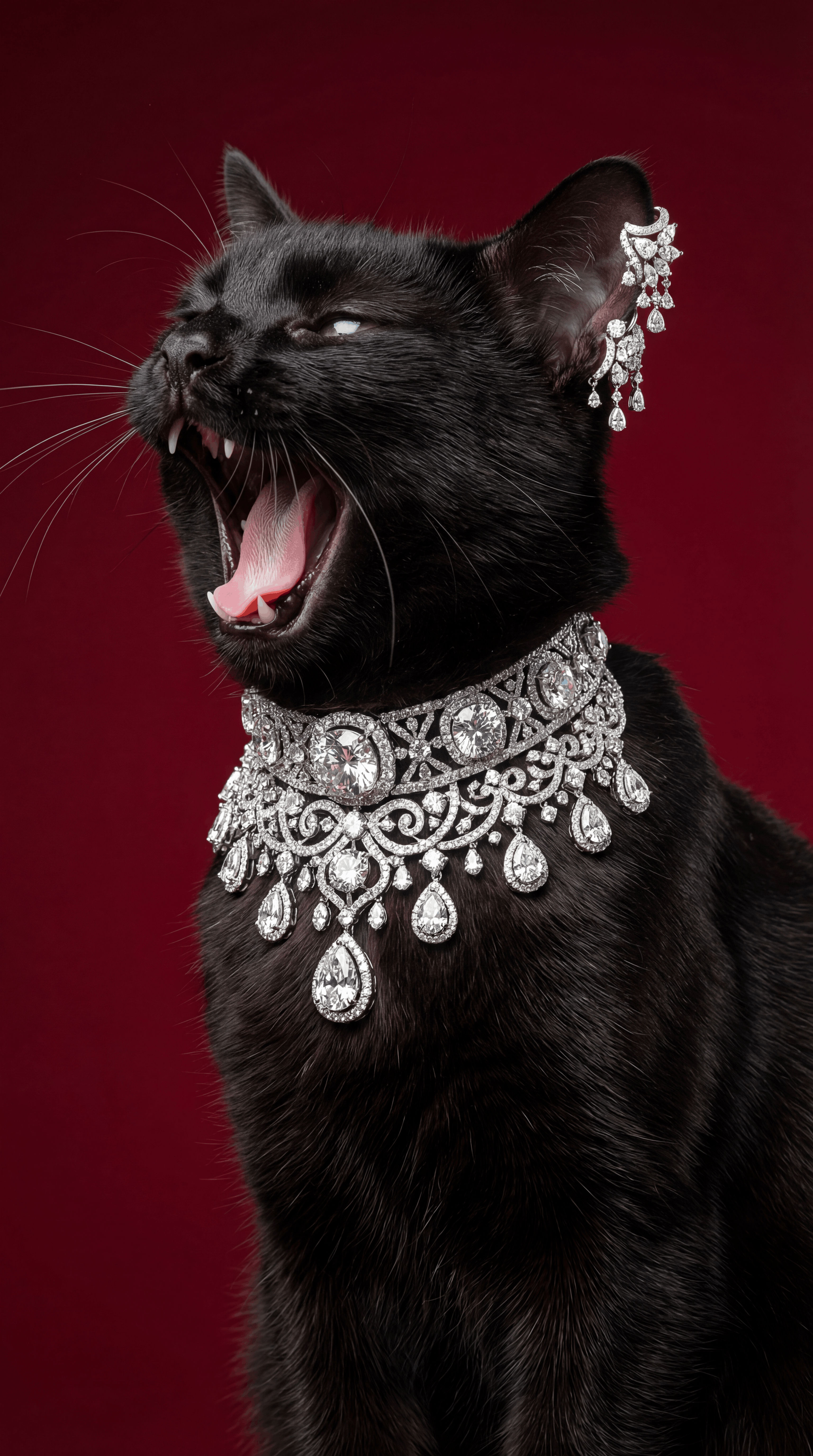 Photorealistic AI generated image of a black cat wearing a diamond necklace and earrings, highlighting the brilliance of the gemstones, AI jewelry photography style.