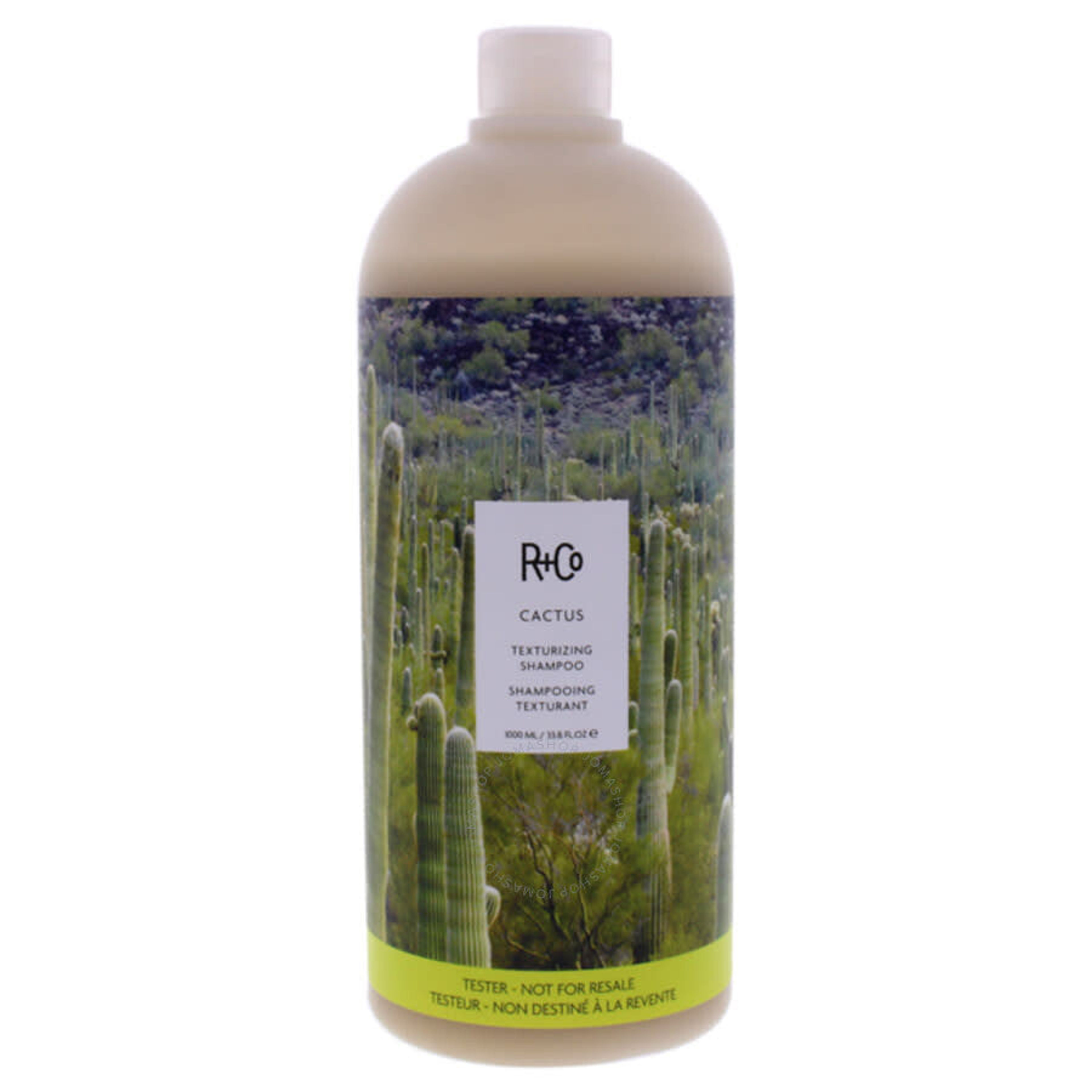 R+Co Cactus Texturizing Shampoo