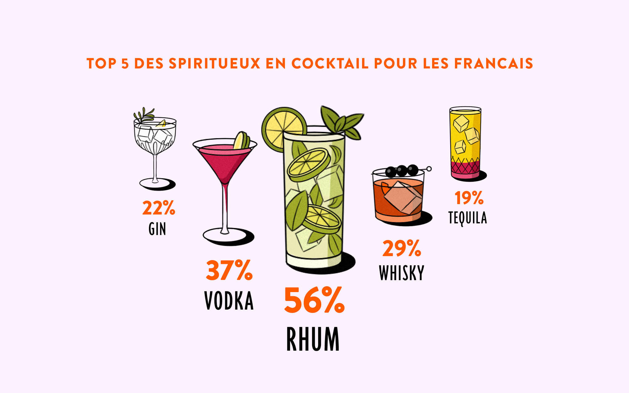 Décryptage des tendances de consommation dans l'univers des vins et spiritueux en 2024 5