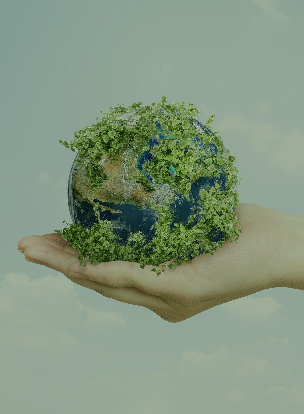Environment