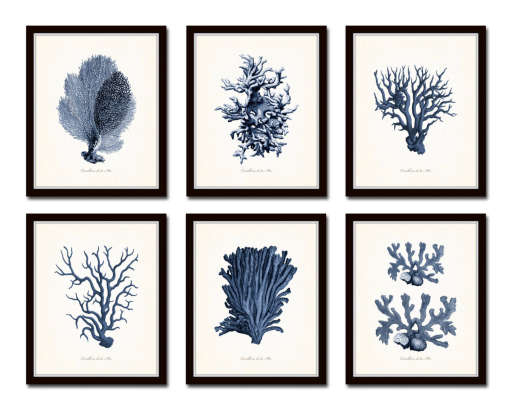 Vintage Coral Prints — view 1