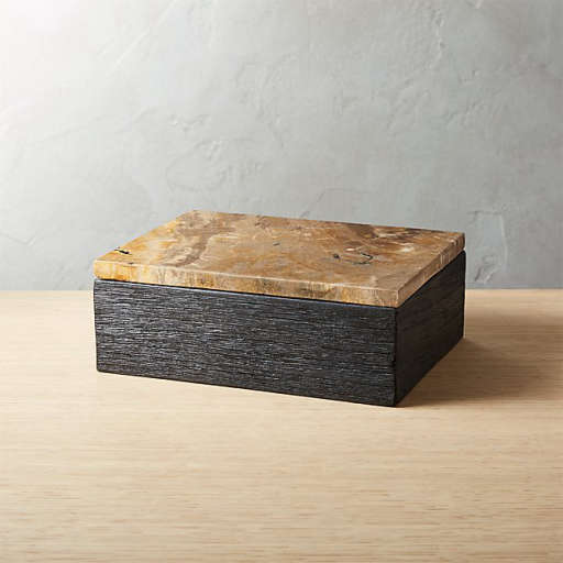 Petrified Wood Box — view 1