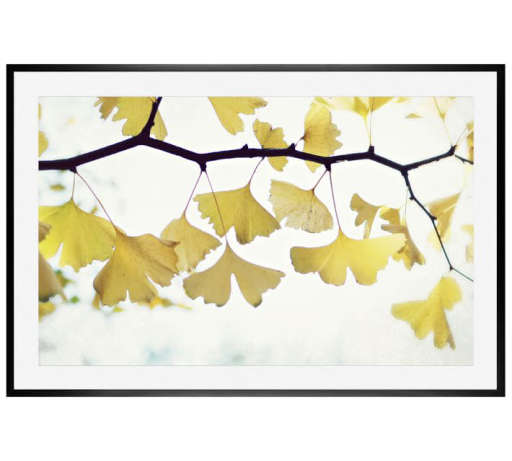 GINKGO PAPER PRINT BY LUPEN GRAINNE — view 1