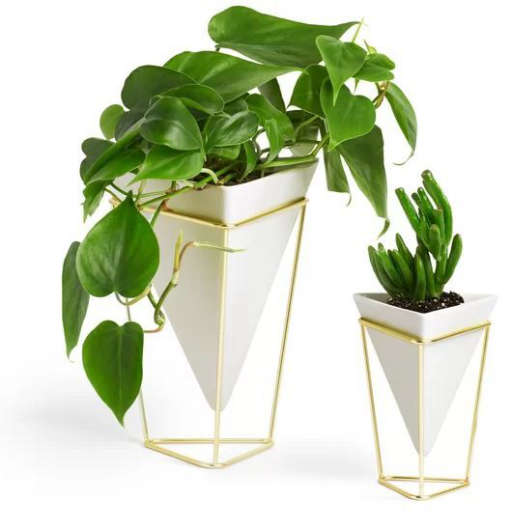 Trigg 2 Pieces Table Vase Set — view 1