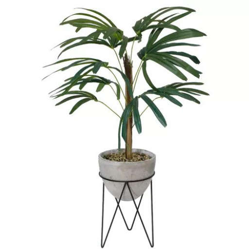 Palm Tree in Planter — view 1