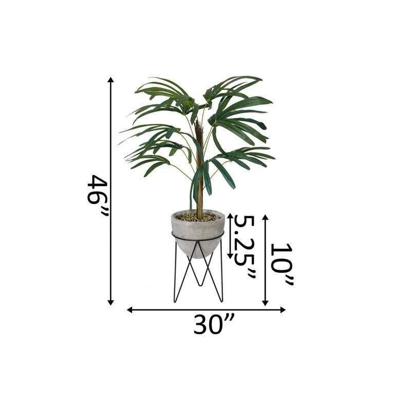 Palm Tree in Planter thumbnail 3