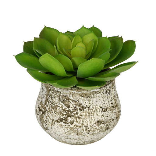 Artificial Echevaria Succulent Desk Top Plant — view 1