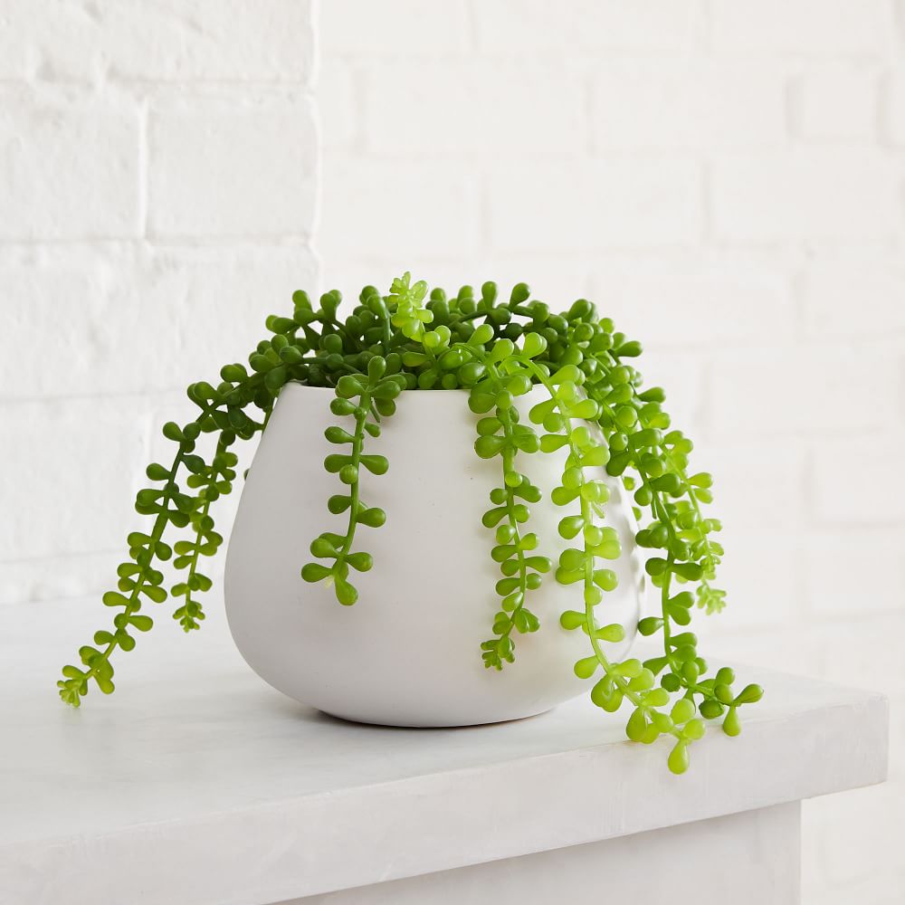 Faux Potted Green Trailing Succulent Plant thumbnail 2