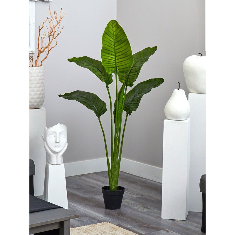60in. Travelers Palm Tree UV Resistant (Indoor/Outdoor) Bay Isle Home™ thumbnail 2