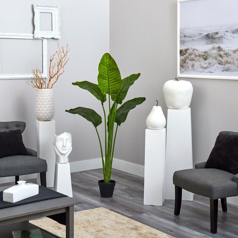 60in. Travelers Palm Tree UV Resistant (Indoor/Outdoor) Bay Isle Home™ thumbnail 3