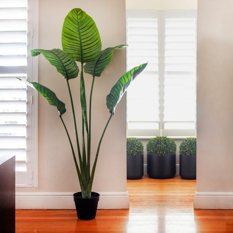 60in. Travelers Palm Tree UV Resistant (Indoor/Outdoor) Bay Isle Home™ thumbnail 4