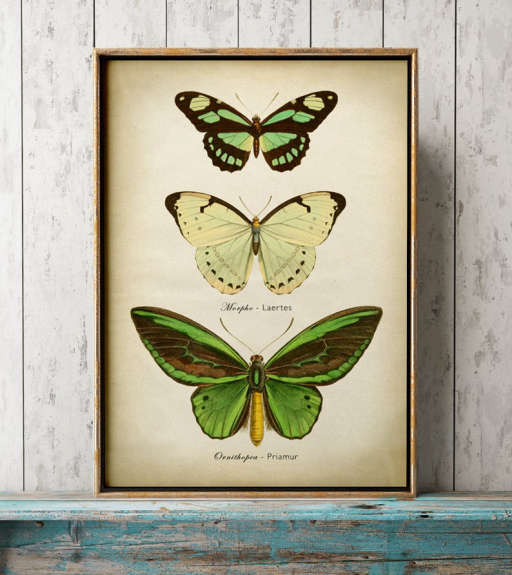 green butterflies wall decor — view 1