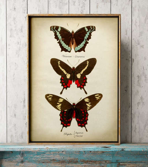 butterflies wall decor 12''x16'' — view 1