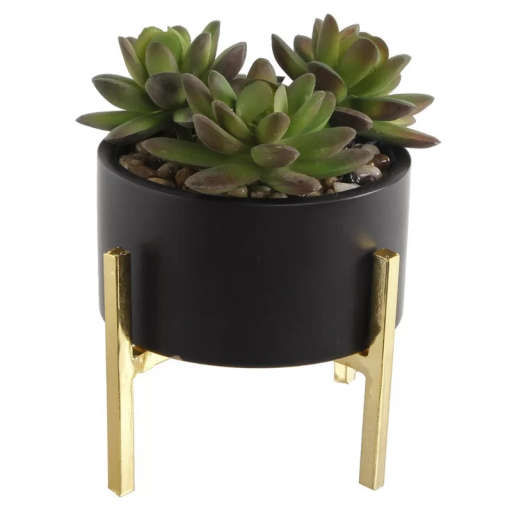 Mix Stand Desktop Succulent Plant in Pot — view 1