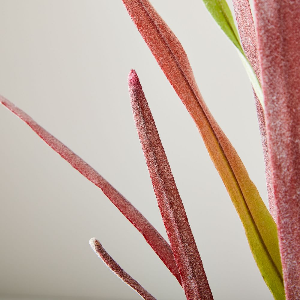 Faux Ornamental Grass thumbnail 3