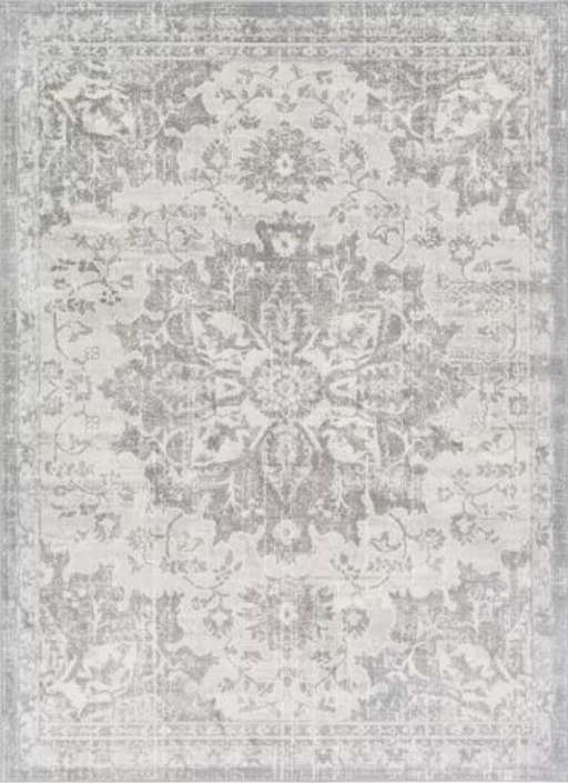 Swaney Oriental Traditional Gray Area Rug — view 1