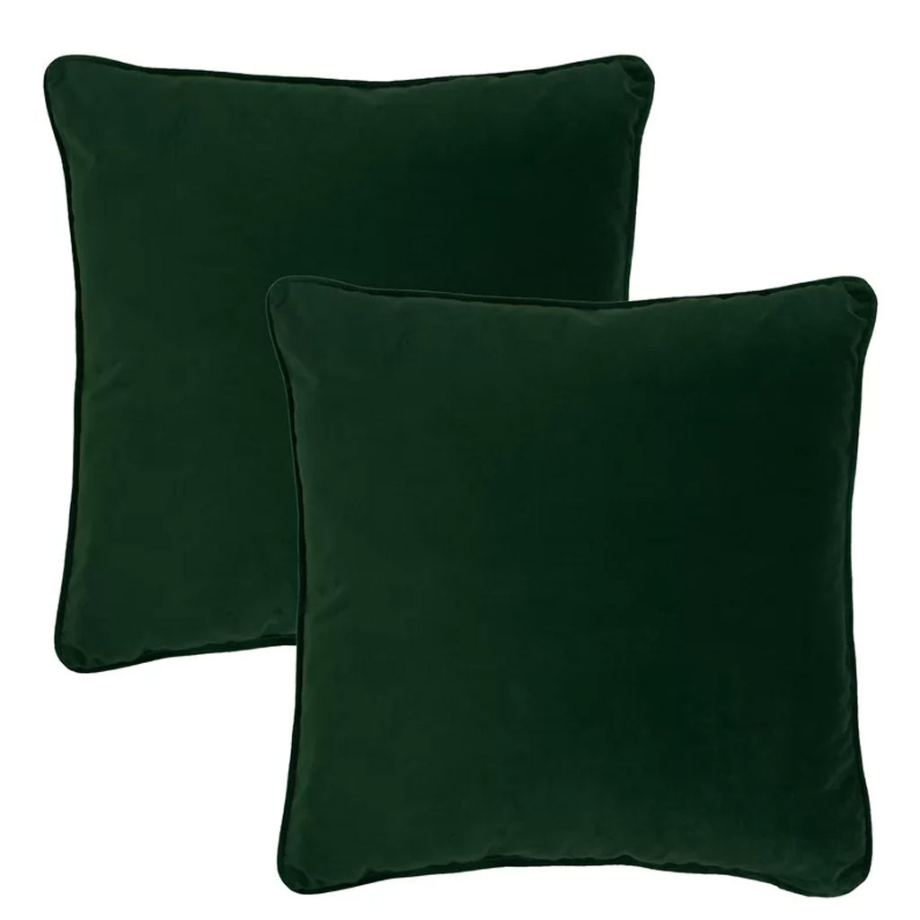 Goodall Velvet Throw Pillow Set of 2 With Insert-20"x20" — view 1