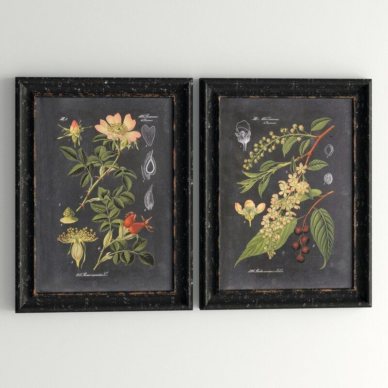 Midnight Botanicals by Vision Studio_2 — view 1