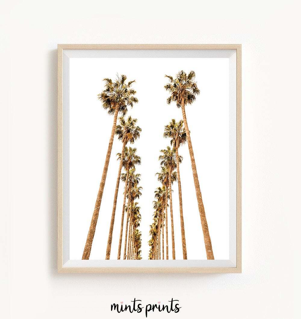 Vintage Hollywood Palm Trees Print — view 1