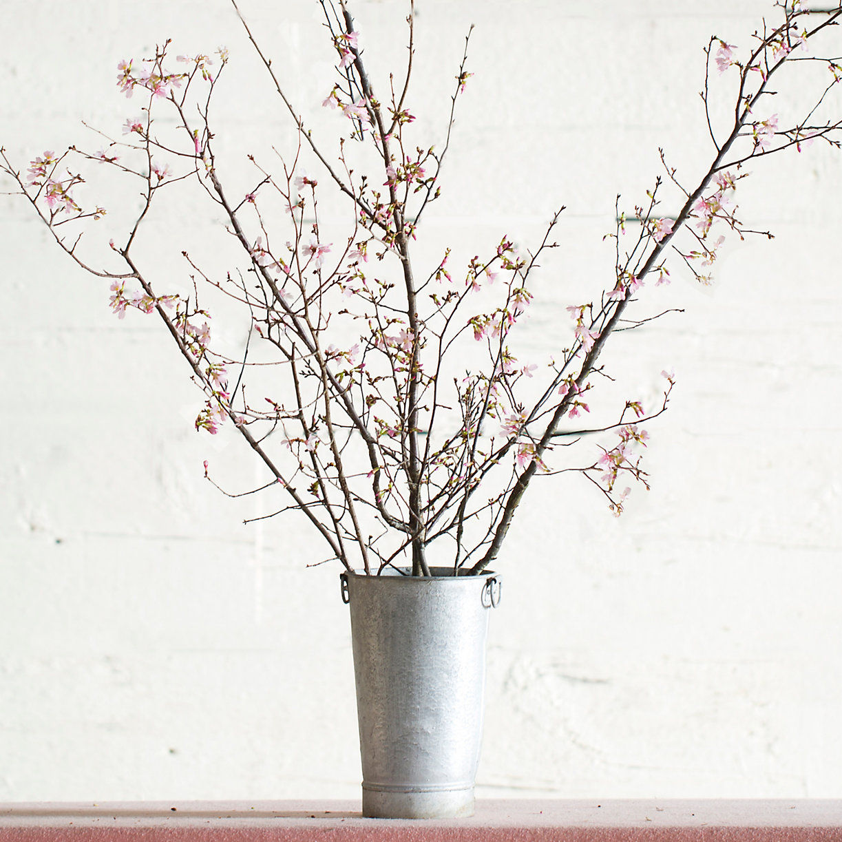Seasonal Pink Blossom Branches — view 1