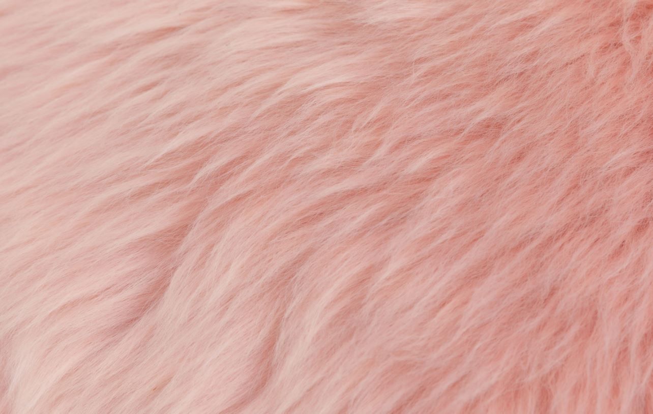 Lanna Pink Round Sheepskin Pillow With Insert-16"x6" thumbnail 5