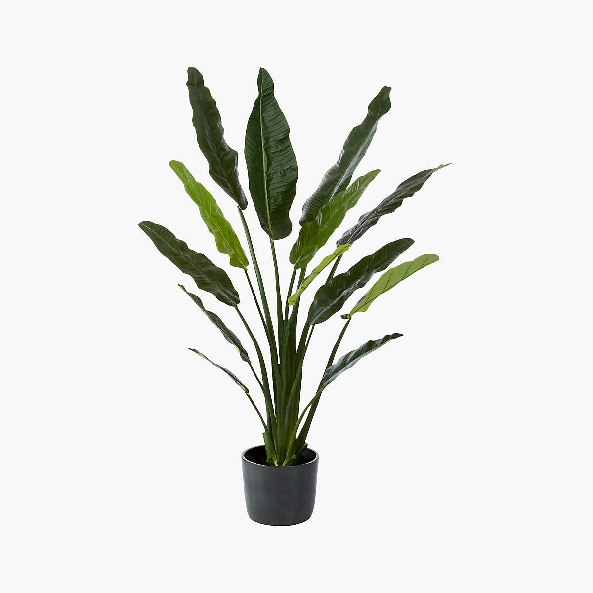 Potted Faux Bird Of Paradise thumbnail 2