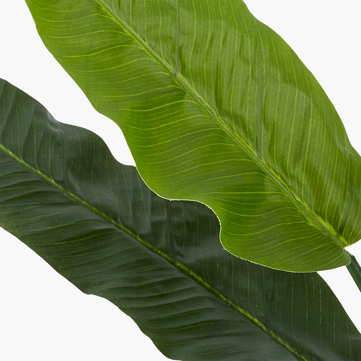 Potted Faux Bird Of Paradise thumbnail 6