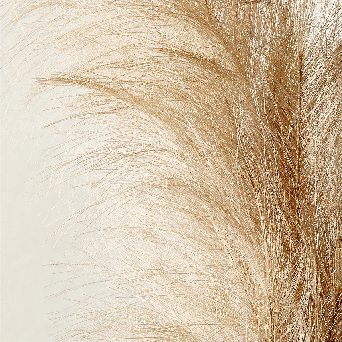 Faux Pampas Grass Taupe Stem thumbnail 3