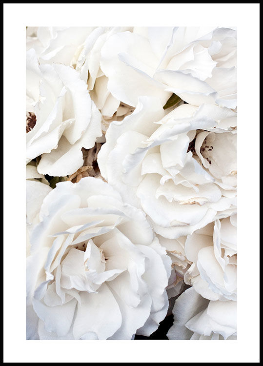White Flowers Poster — view 1