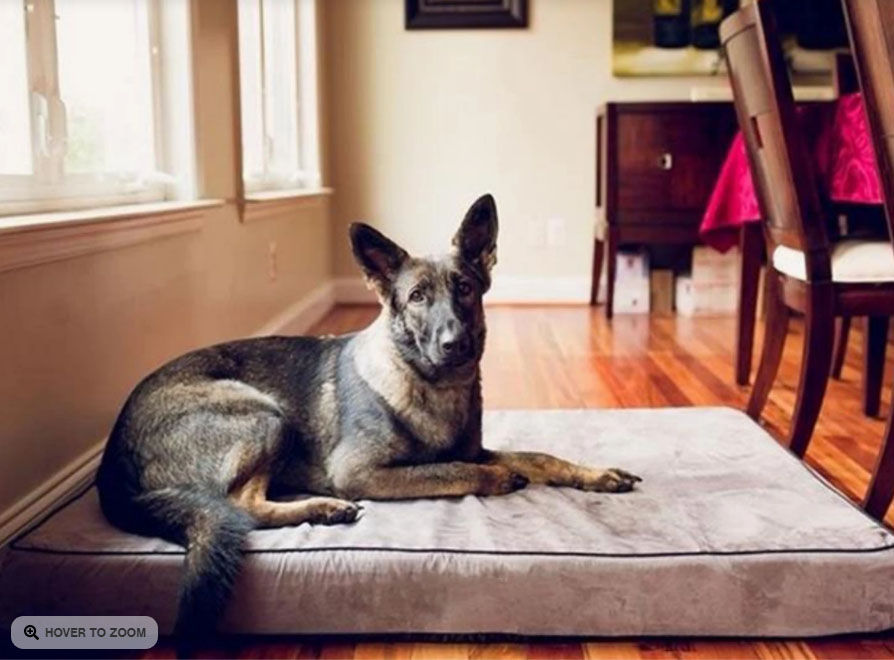 PupDream Memory Foam Orthopedic Dog Bed thumbnail 2
