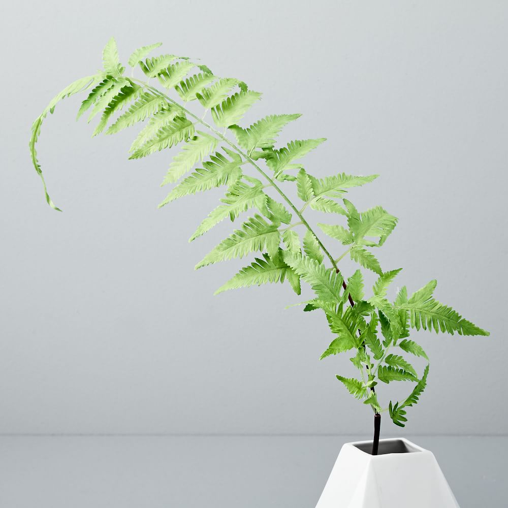 Faux Fern Plant Leaf thumbnail 2