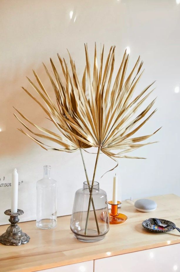 Dried Palmetto Bunch thumbnail 3