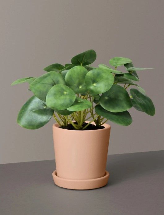 Faux Pilea Peperomioides thumbnail 2