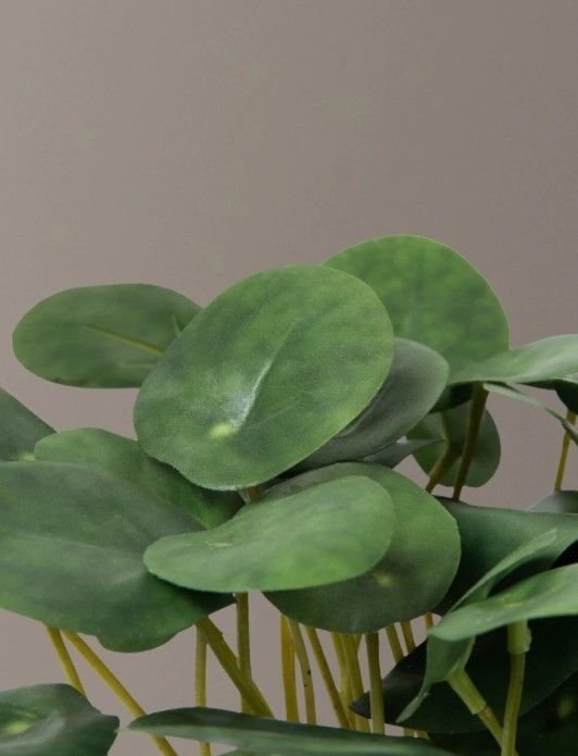 Faux Pilea Peperomioides thumbnail 4