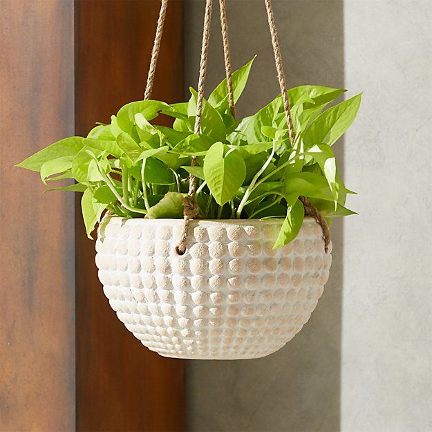 ZOLA SMALL HANGING PLANTER thumbnail 4
