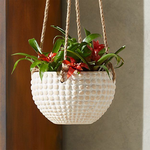 ZOLA MEDIUM HANGING PLANTER thumbnail 3