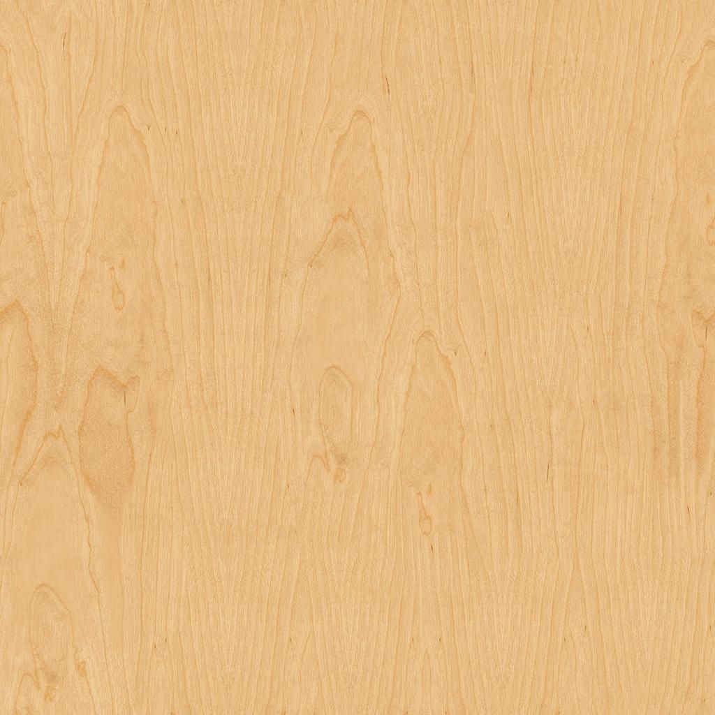 Priya Dining Chair thumbnail 6