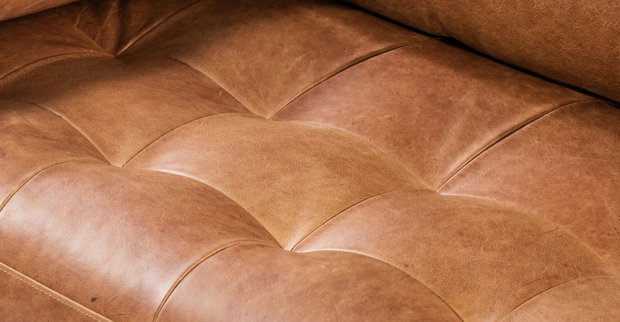 Napa Sofa thumbnail 8