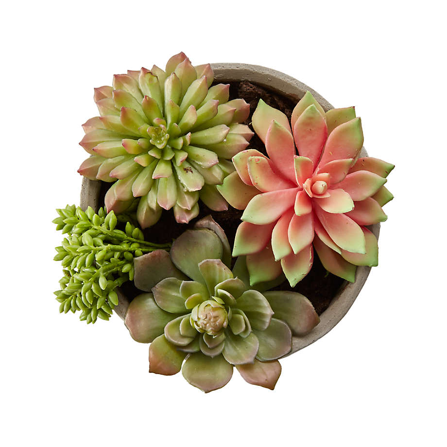 Artificial Succulents in Low Round Pot thumbnail 3