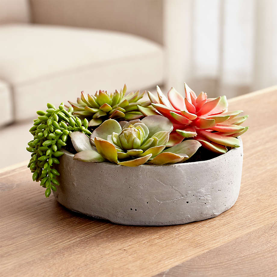 Artificial Succulents in Low Round Pot thumbnail 4