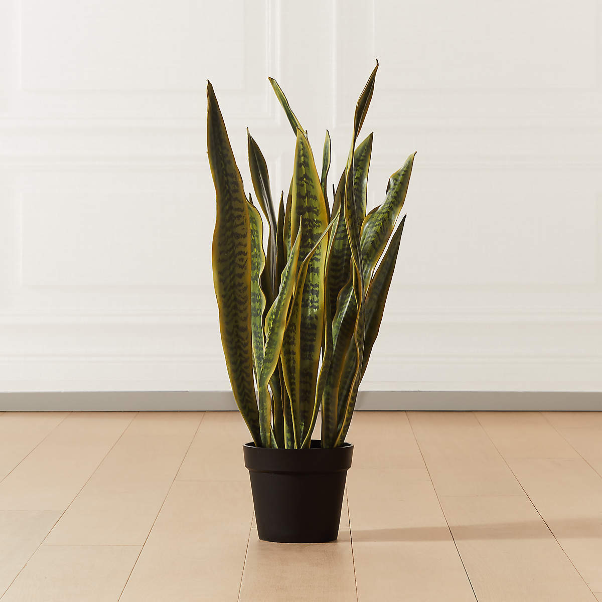 Faux Snake Plant thumbnail 2