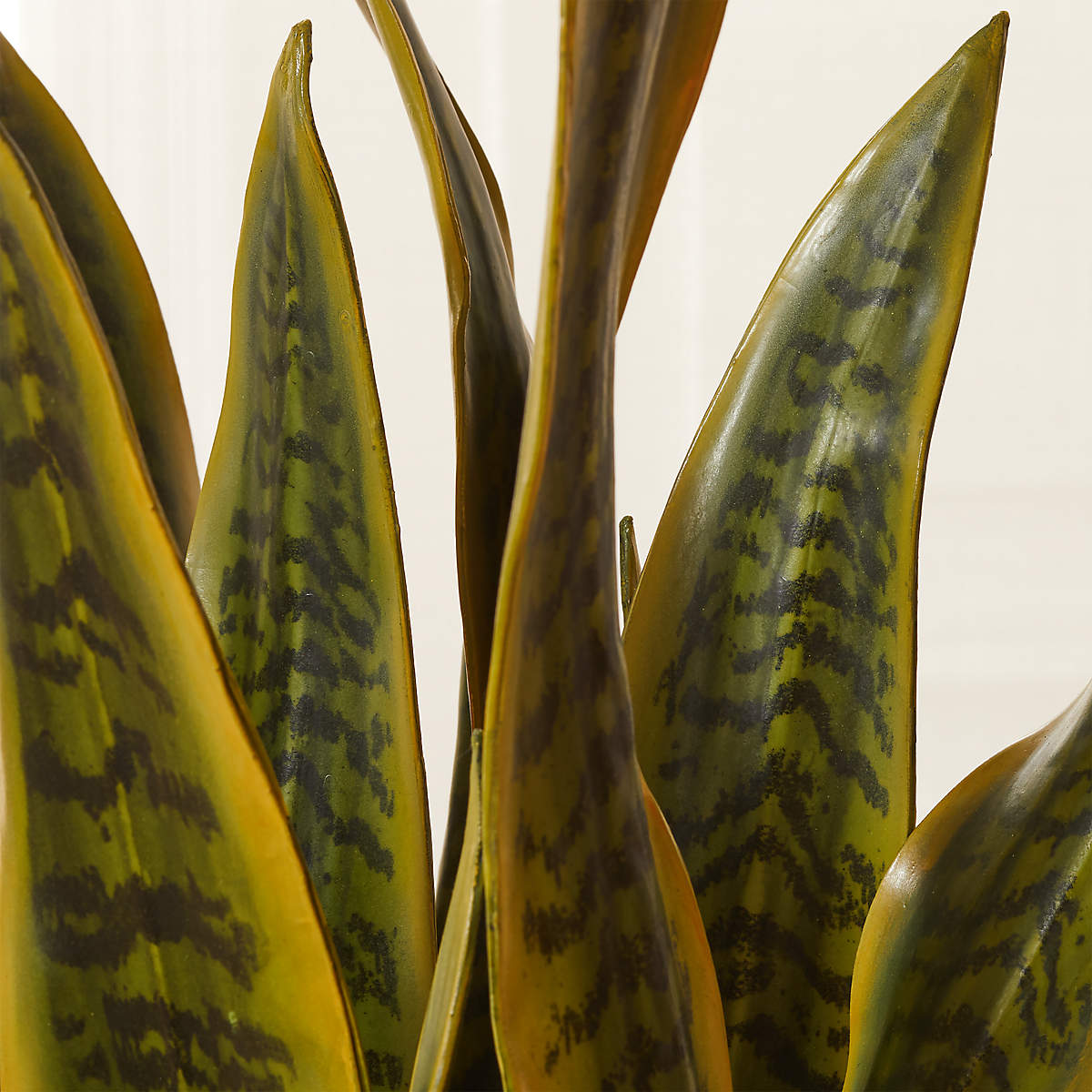 Faux Snake Plant thumbnail 4