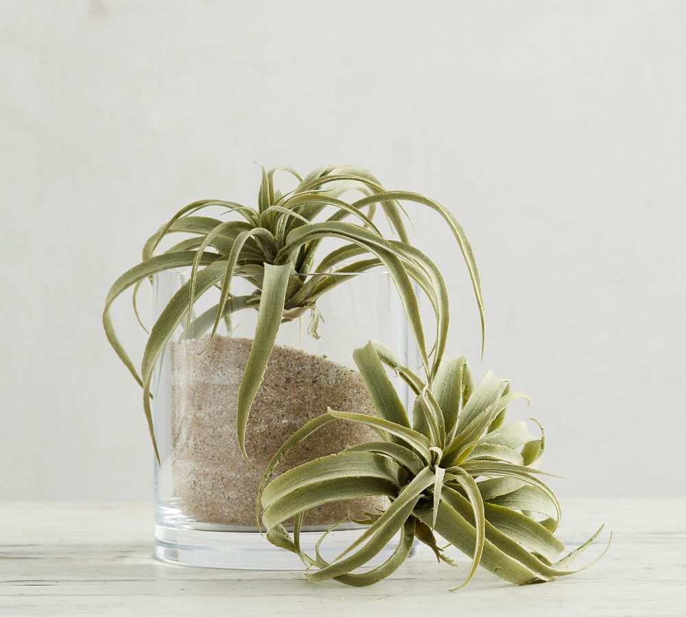Faux Tillandsia Succulent Stem thumbnail 2
