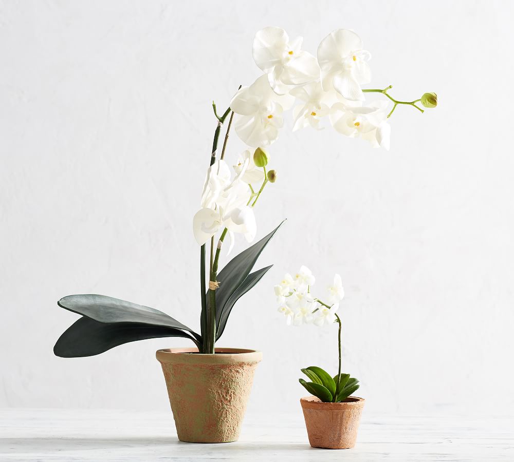 Faux Potted Orchid thumbnail 4