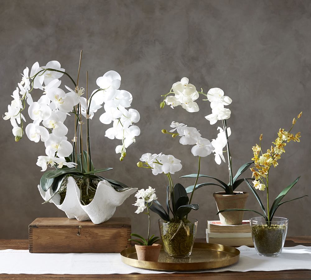 Faux Potted Orchid thumbnail 5